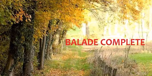 A la d\u00e9couverte du bois de Strihoux (Petit-Enghien)