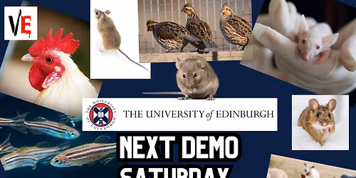 Open Day protest against vivisection at University of Edinburgh