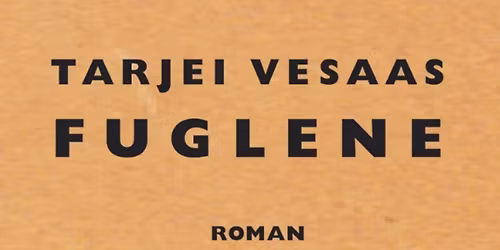 Lyset i M\u00f8rket \u2013 L\u00e6seklub i Mariakirken