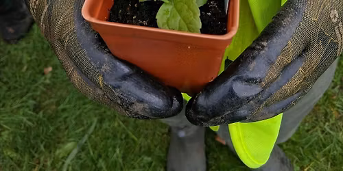 Stewardship Planting Day