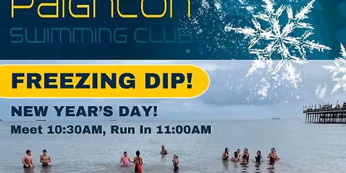 Freezing Dip! New Year's Day