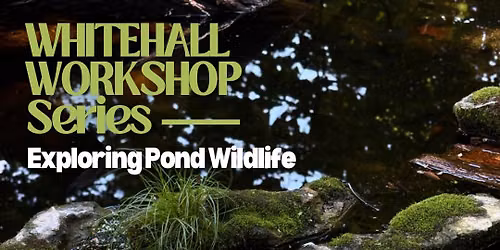August Whitehall Workshop