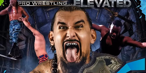 Full Swing Smackdown - Live Action Wrestling