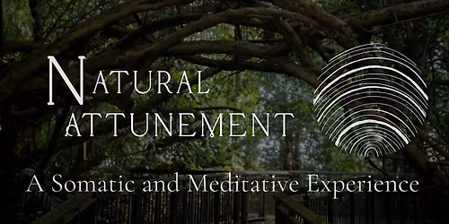 Natural Attunement Session: A Somatic and Meditative Experience