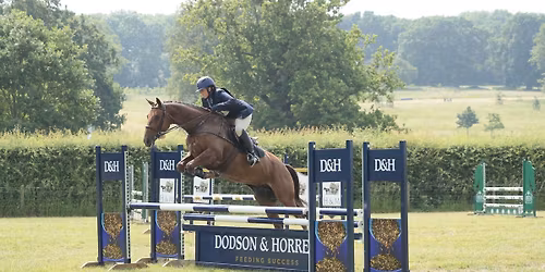 Pole\/Gymnastic clinic