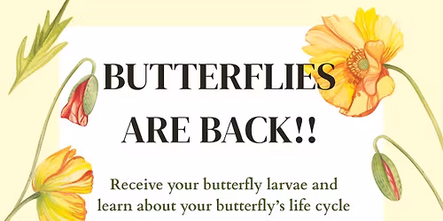 Butterflies, Hand Out Larvae