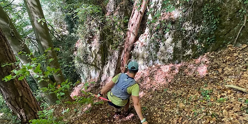 Trail du N\u00e9blon by "les Sangliers du mardi" (6e \u00e9dition)