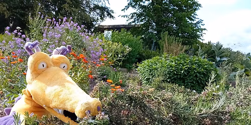 Ilbert's Dragon Tales (ages 2 to 5)