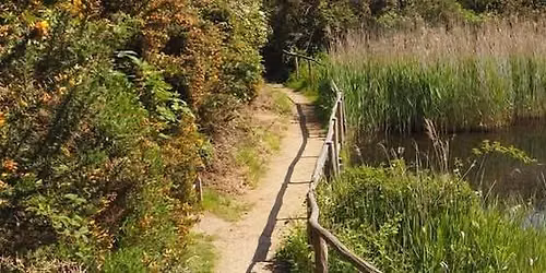 Seasonal Ranger Ramble