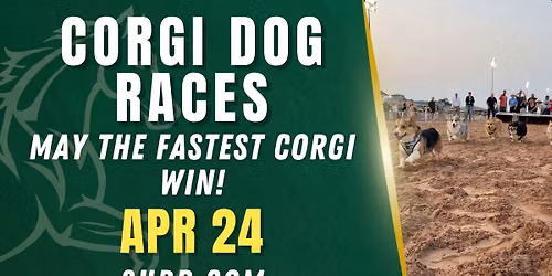 Corgi Dog Racing