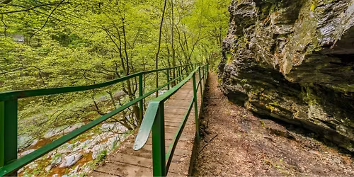 Wiosna w Izerach: Stezka Riegrova i Kamenickeho + \u017conkile