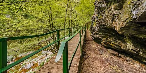 Wiosna w Izerach: Stezka Riegrova i Kamenickeho + \u017conkile