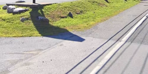 Longboard Tournament