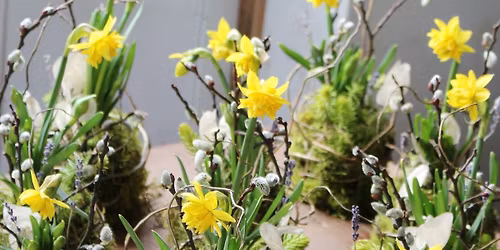 Daffodil Kokedama class