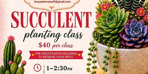 Succulent Planting Class at Candid Form Boutique