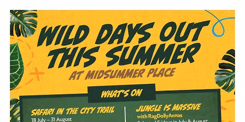 Summer in the City