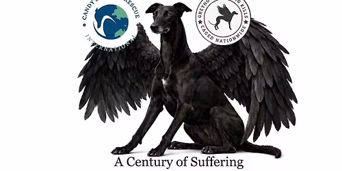 Century of Suffering - Manchester March for the Murdered Million 
