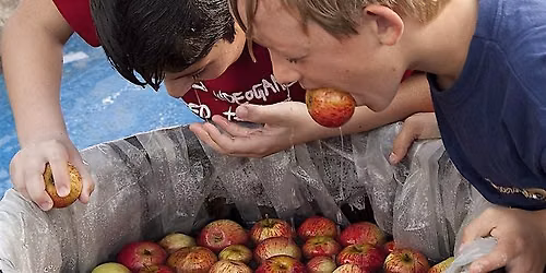 ShooBooty Apple Fest 2026