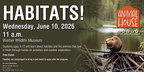 Summer Animal House at Werner Wildlife Museum