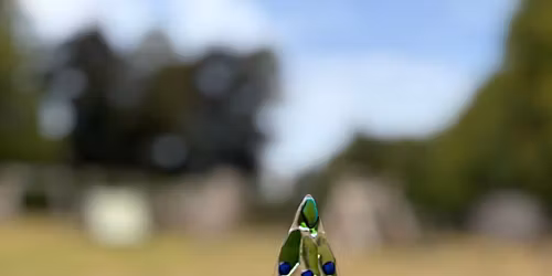 **fully booked **     Fused Glass Christmas Tree Tea light workshop