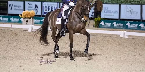 \u2728 Friday Night Stars - CDI5* Grand Prix