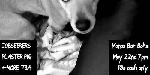 THE COATHANGER SOLUTION, JOBSEEKERS, THE THREADS, BOWSY, PLASTER PIG