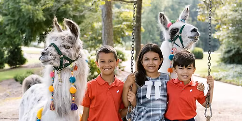 Fa-la-la-llama Holiday Minis