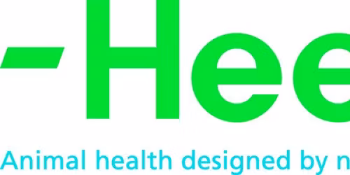 Exklusiv-Fachseminar f\u00fcr Tierphysiotherapeuten & Tierheilpraktiker in Kooperation mit Heel Vet