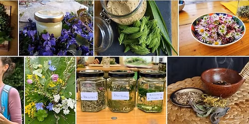 Jahresausbildung "Wilde Kr\u00e4uter im Jahreskreis" 2026 - Gruppe 1