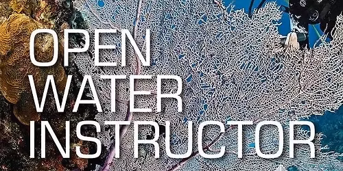 Open Water Instructor