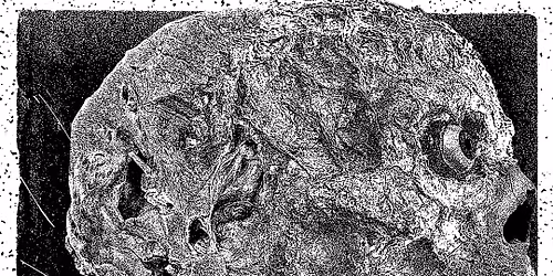 CHAT PILE, Ragana \/\/ Budapest, A38 Haj\u00f3