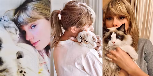 Taylor Swift Streaming Party