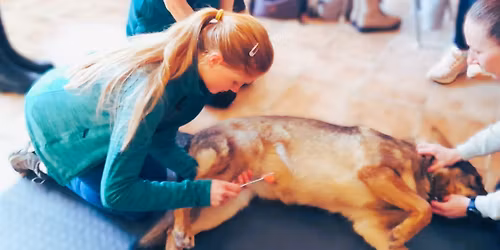 APLIKOVAN\u00c1 NEUROLOGIE PRO REHABILITACI MAL\u00ddCH ZV\u00cd\u0158AT