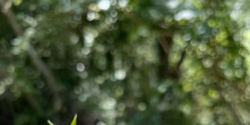 Williams Mill Picnic & Play Free Meetup