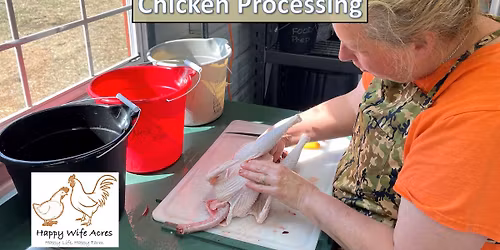Chicken Processing