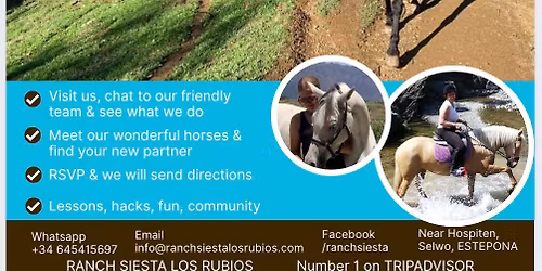 Retake the Reins open morning