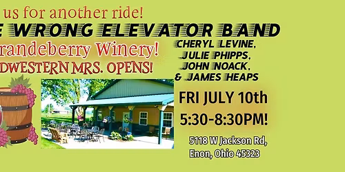 The Wrong Elevator Band Loves Brandeberry Winery!