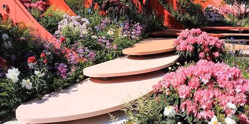 Monthly Meeting - November