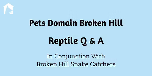 Reptile Q & A | Broken Hill Snake Catchers