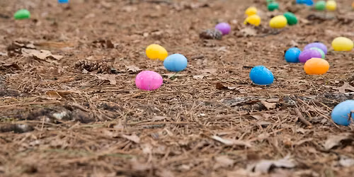 Eggciting Eggstravaganza