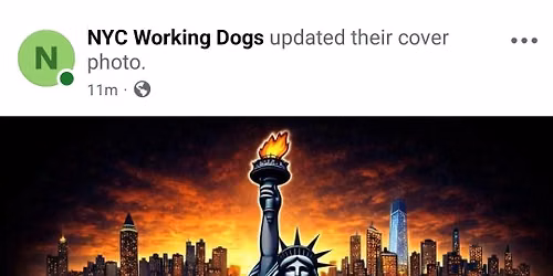 NYC Working Dogs Mock Trial