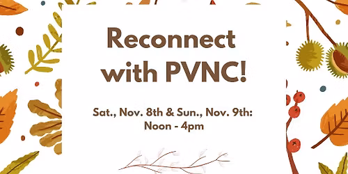 Reconnect with PVNC