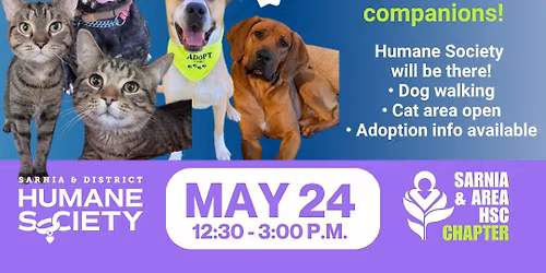 2026 Walk for Huntingtons Disease