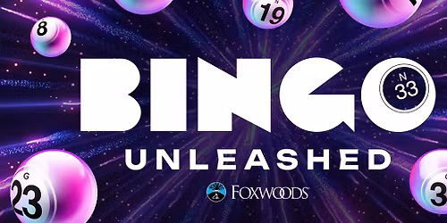 Bingo Unleashed SantaCon 