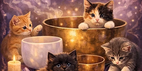 Sound Bath with Cats
