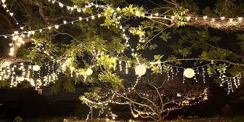 French Market Carnival 2026 - Evening & Dance Party