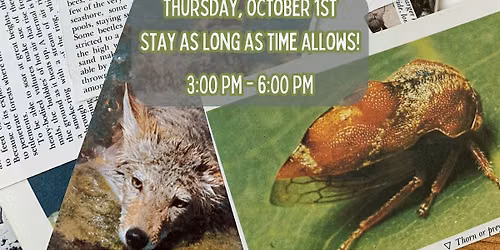 Collage Barrage Social - October 2026