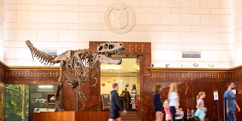 H-E-B Free Fourth Sunday!