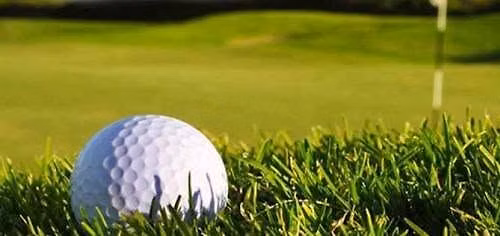 Genzie's Golf Outing