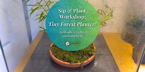 Sip & Plant Workshop: Tiny Forest Planter!